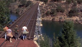 Script Bridge